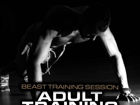 Adult Training Sessions